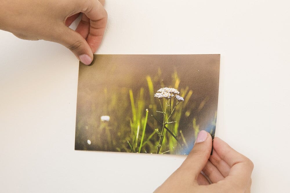 elefantsnot, klæbemasse, hæftemasse 70g